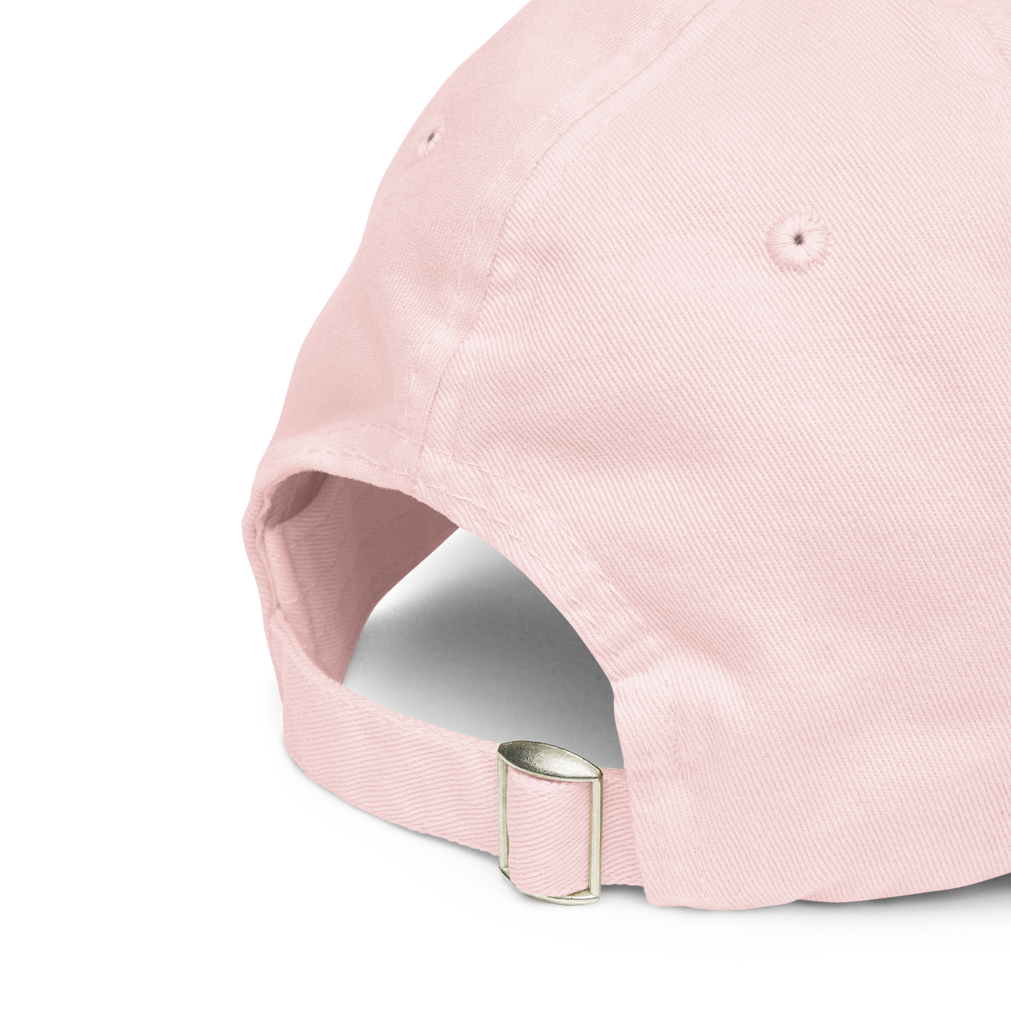 The Grass & Clay Baseball Cap